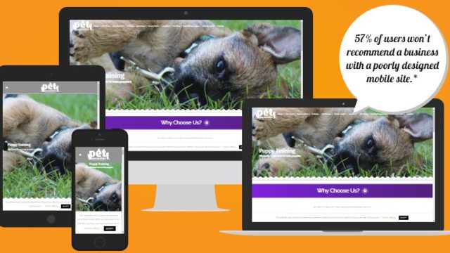 pet necessities view on all devices