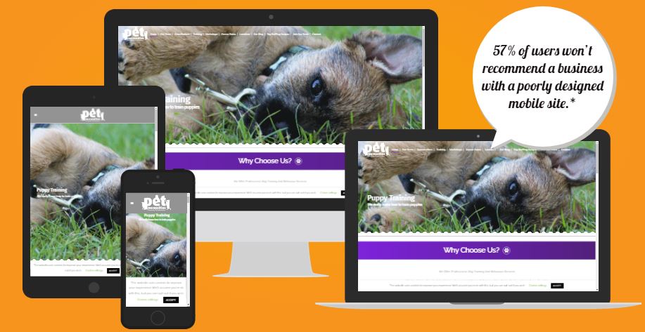 pet necessities view on all devices